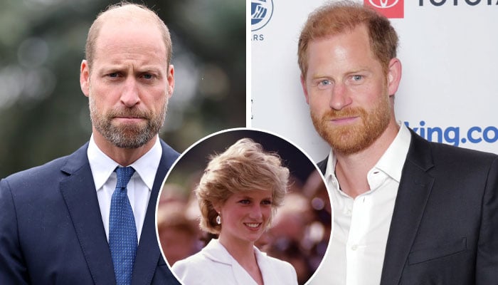 Diana charity suffers brutal blow after William, Harry ‘backdoor talks