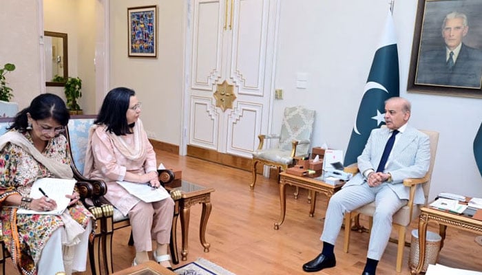 Gates Foundation delegation meets Prime Minister Shehbaz Sharif in Islamabad on September 10. — X/@PakPMO