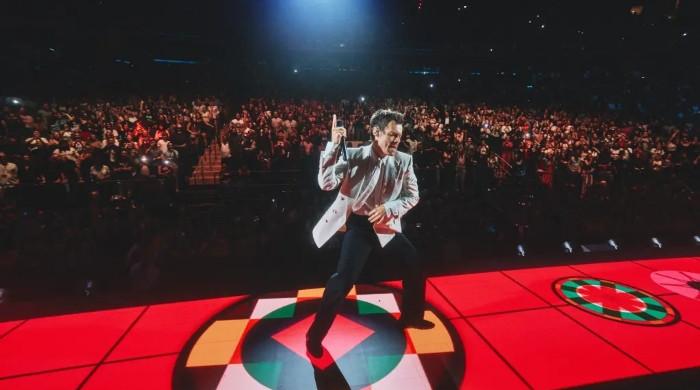 Harry Styles sparks controversy with 'insane' artwork