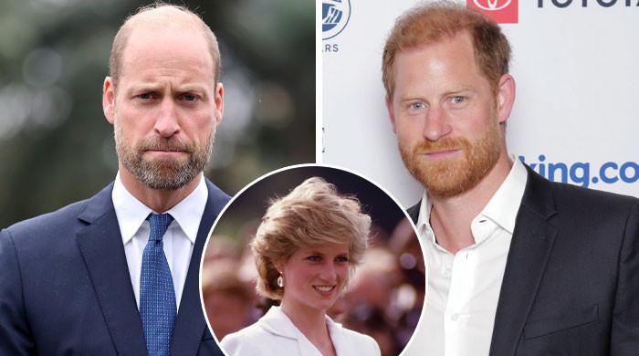 Diana charity suffers brutal blow after William, Harry ‘backdoor talks'