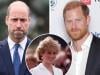 Diana charity suffers brutal blow after William, Harry ‘backdoor talks'