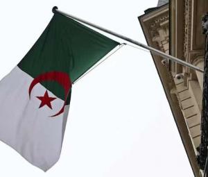 Algeria cuts diplomatic ties with UAE over 'provocative, hostile' actions