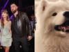 Wendy the Dog makes NYFW debut alongside Travis Kelce