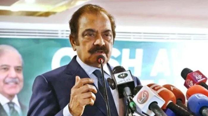 Referendum on new provinces subject to parliament's nod: Rana Sanaullah