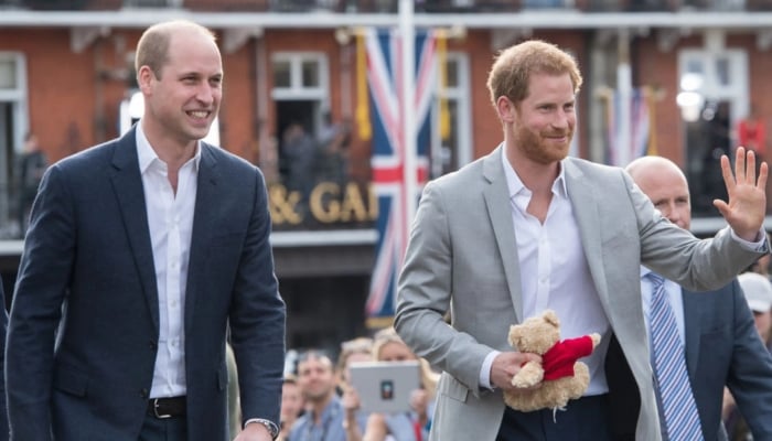 William, Harry get emotional update on mother Diana in new statement