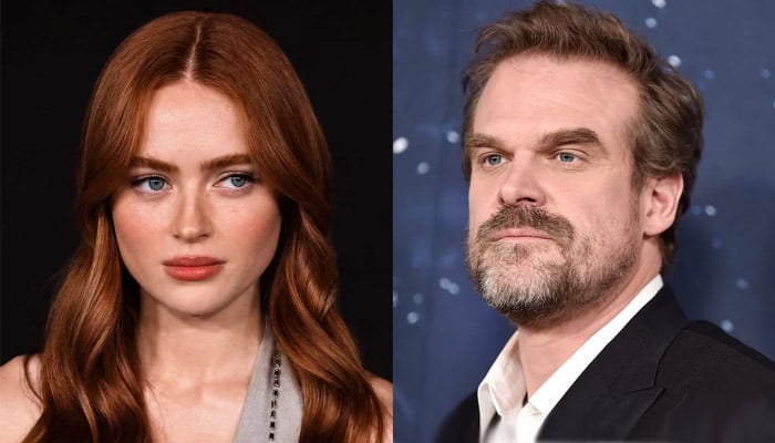 David Harbour has one problem with Sadie Sink’s Marvel debut