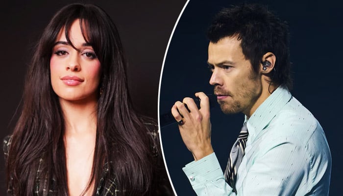 Camila Cabello watches her One Direction crush perform at MSG