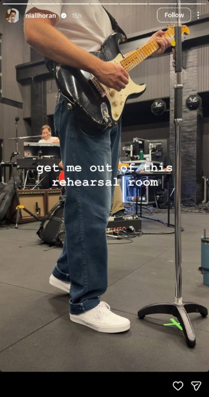 Niall Horan makes one plea before ringing into 33rd birthday