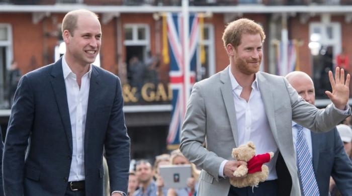 William, Harry receive emotional update on mother Diana in new statement