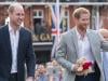 William, Harry receive emotional update on mother Diana in new statement