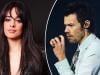 Camila Cabello watches her One Direction crush perform at MSG