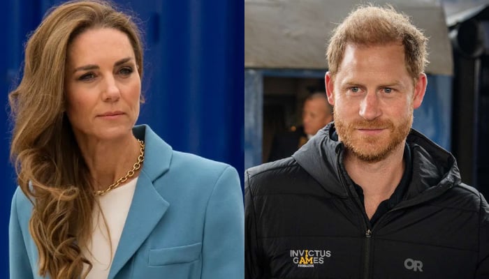 Princess Kate discusses future plan with Prince Harry