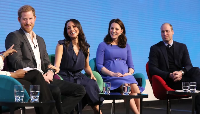 Princess Kate discusses future plan with Harry: Ceasefire for peace