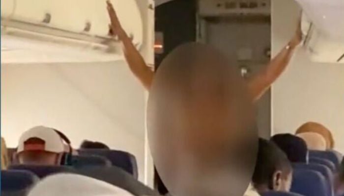 Female passenger removed from American Airlines flight after undressing midflight