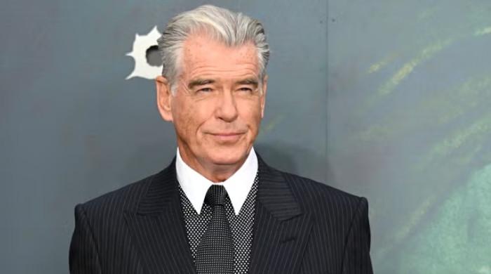 Pierce Brosnan predicts next James Bond will be a 'Total Unknown'