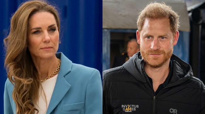 Princess Kate 'discusses' future plan with Harry: 'Ceasefire for peace'