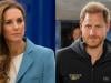 Princess Kate 'discusses' future plan with Harry: 'Ceasefire for peace'