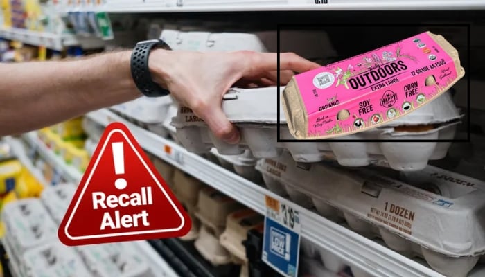 Salmonella outbreak triggers organic egg recall; over 20 illnesses reported in California