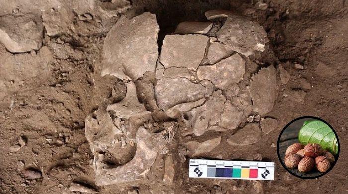 Scientists find evidence humans were getting high 25,000 years ago: Here's what they used