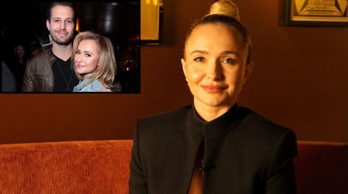 Why did Greenville police detain Hayden Panettiere's boyfriend, Brian Hickerson?