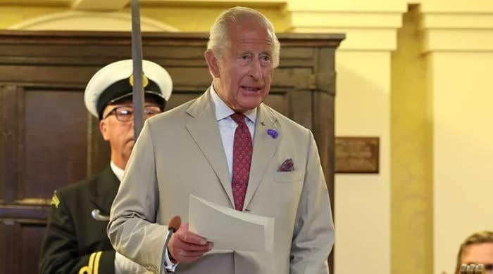 King Charles' biggest fear about AI laid bare