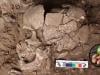 Scientists find evidence humans were getting high 25,000 years ago: Here's what they used