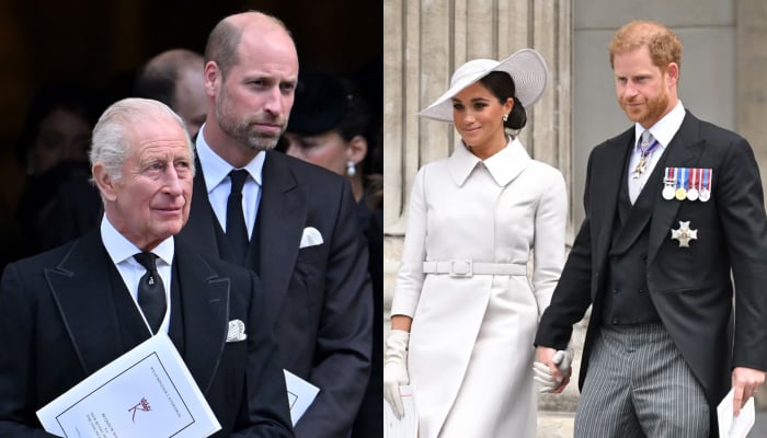 King Charles, William react to Harry, Meghan representing royal family