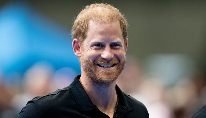 Prince Harry vows to speed up efforts despite warning from Palace