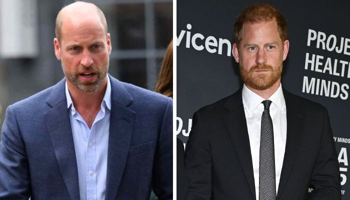 Prince William’s reunion with brother hinges on Prince Harry’s next move