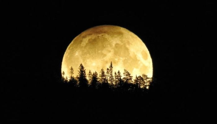 Harvest moon rises: Your guide to Septembers full moon