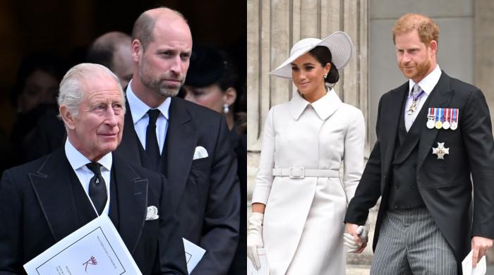 King Charles, William 'react' to Harry, Meghan representing royal family