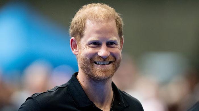 Prince Harry vows to speed up efforts despite warning from Palace