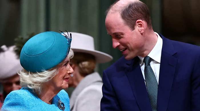 Prince William, Queen Camilla's secret obsession exposed by Gary Oldman