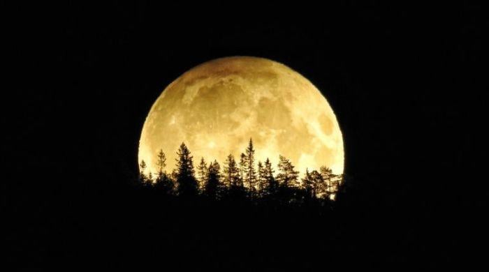 Harvest moon rises: Your guide to September's full moon