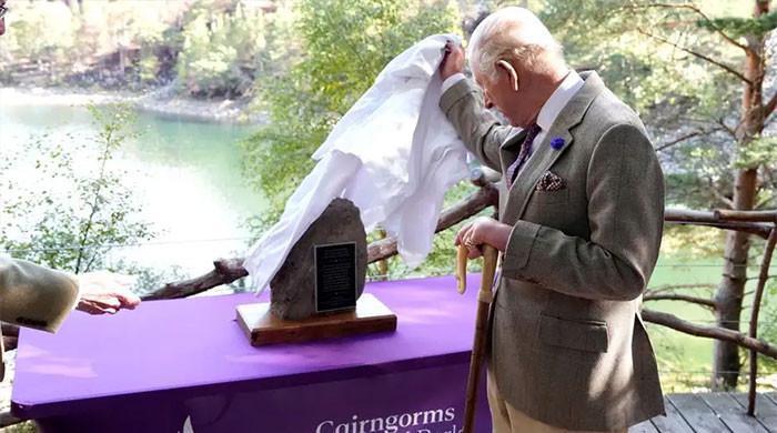 Buckingham Palace reveals King Charles' special role in ‘Sister Parks' partnership