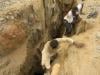 Sudan gold mine collapse kills at least 60: survivors 