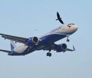 Pakistan extends airspace closure for Indian aircraft until October 23