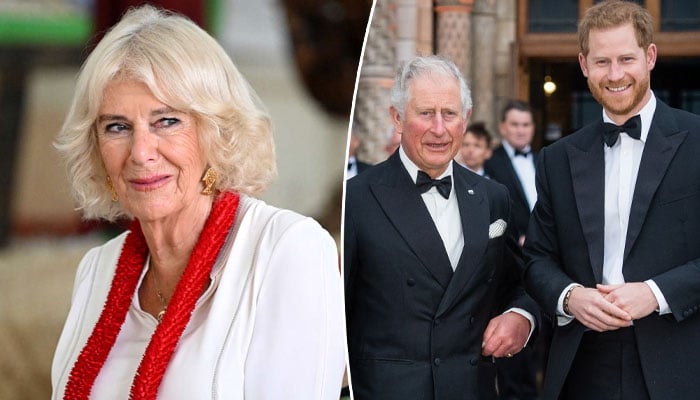 Queen Camilla helps thaw in King’s relationship with Harry in clever move