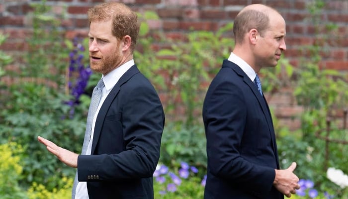 Prince William, Prince Harry suffer emotional setback over Dianas legacy