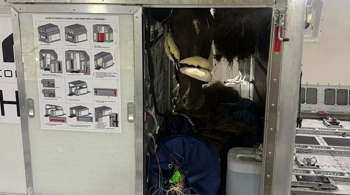 Pakistan's ‘Mirage' safely lands in Japan ahead of its Asian Games eventing debut
