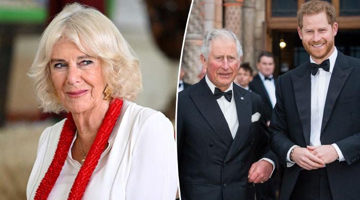 Queen Camilla helps thaw in King's relationship with Harry in clever move