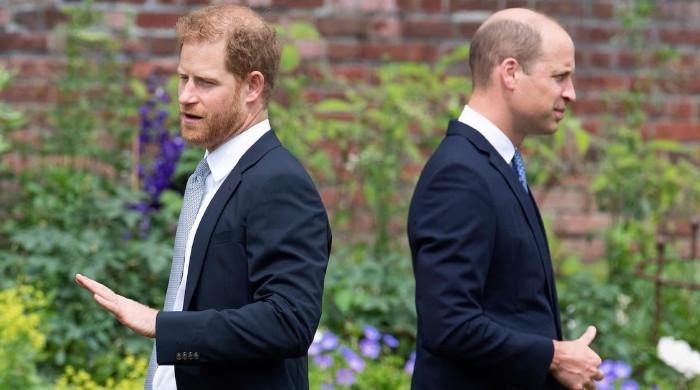 Prince William, Prince Harry suffer emotional setback over Diana's legacy