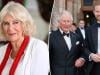 Queen Camilla helps thaw in King's relationship with Harry in clever move