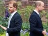 Prince William, Prince Harry suffer emotional setback over Diana's legacy