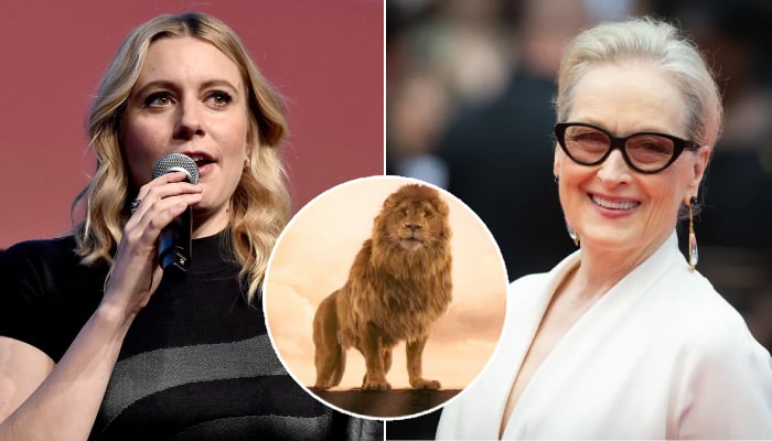 Streep, 77, will voice the iconic Lion in the upcoming Narnia reboot