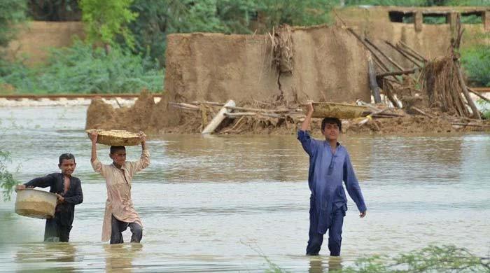 Can we turn money into resilience?