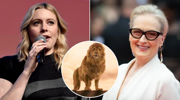Greta Gerwig explains why she cast Meryl Streep as Aslan in 'Narnia' reboot