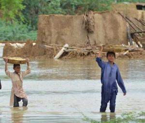 Can we turn money into resilience?