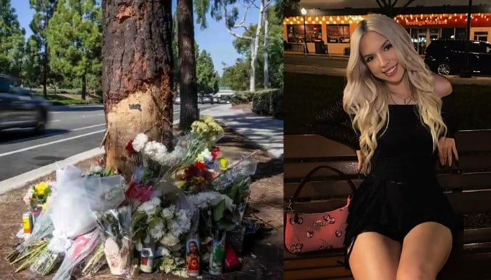 Family of Alexis Kramer, killed in McLaren crash seeks help to bring her remains to Florida