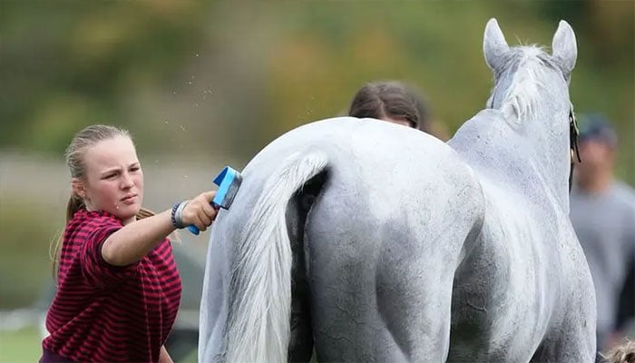 Mia Tindall shows her equestrian side as she lends Zara a hand at Blenheim